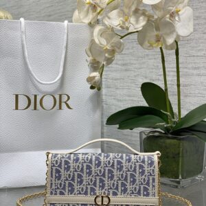 D 30 Montaigne Hobo Mini Bag